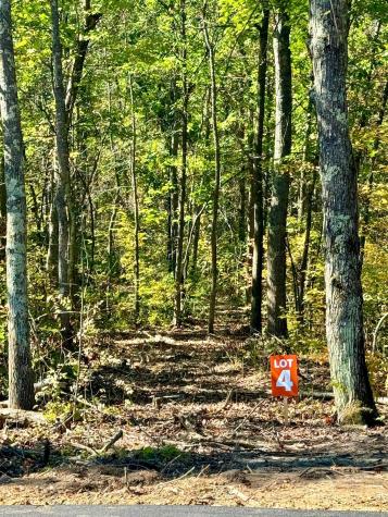 TBD4 Winter Creek Court Nisswa MN 56468