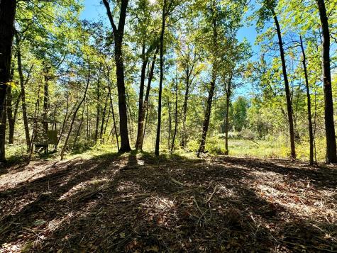 TBD4 Winter Creek Court Nisswa MN 56468