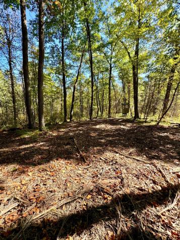 TBD4 Winter Creek Court Nisswa MN 56468