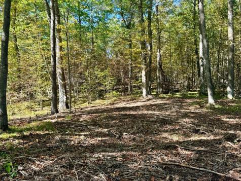 TBD4 Winter Creek Court Nisswa MN 56468