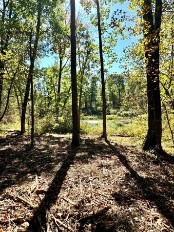 TBD4 Winter Creek Court Nisswa MN 56468
