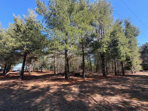 27102 Daniel Drive Webster WI 54893