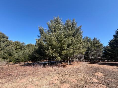 27102 Daniel Drive Webster WI 54893