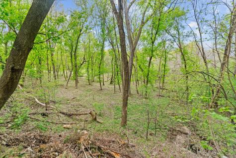 445 Bovey Road Wayzata MN 55391
