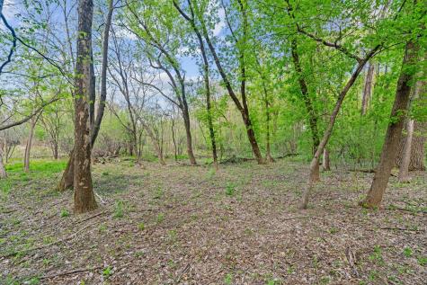 445 Bovey Road Wayzata MN 55391