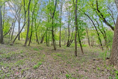 445 Bovey Road Wayzata MN 55391