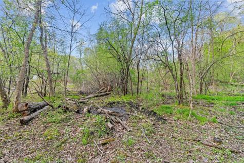 445 Bovey Road Wayzata MN 55391