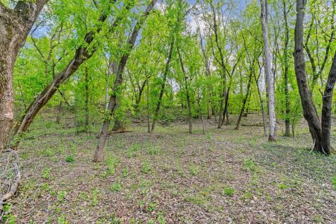 445 Bovey Road Wayzata MN 55391
