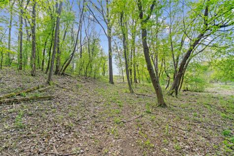 445 Bovey Road Wayzata MN 55391