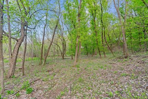 445 Bovey Road Wayzata MN 55391