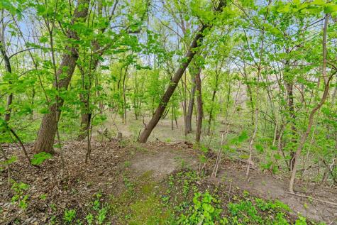 445 Bovey Road Wayzata MN 55391