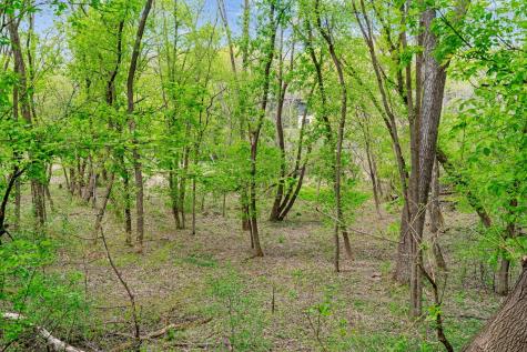 445 Bovey Road Wayzata MN 55391