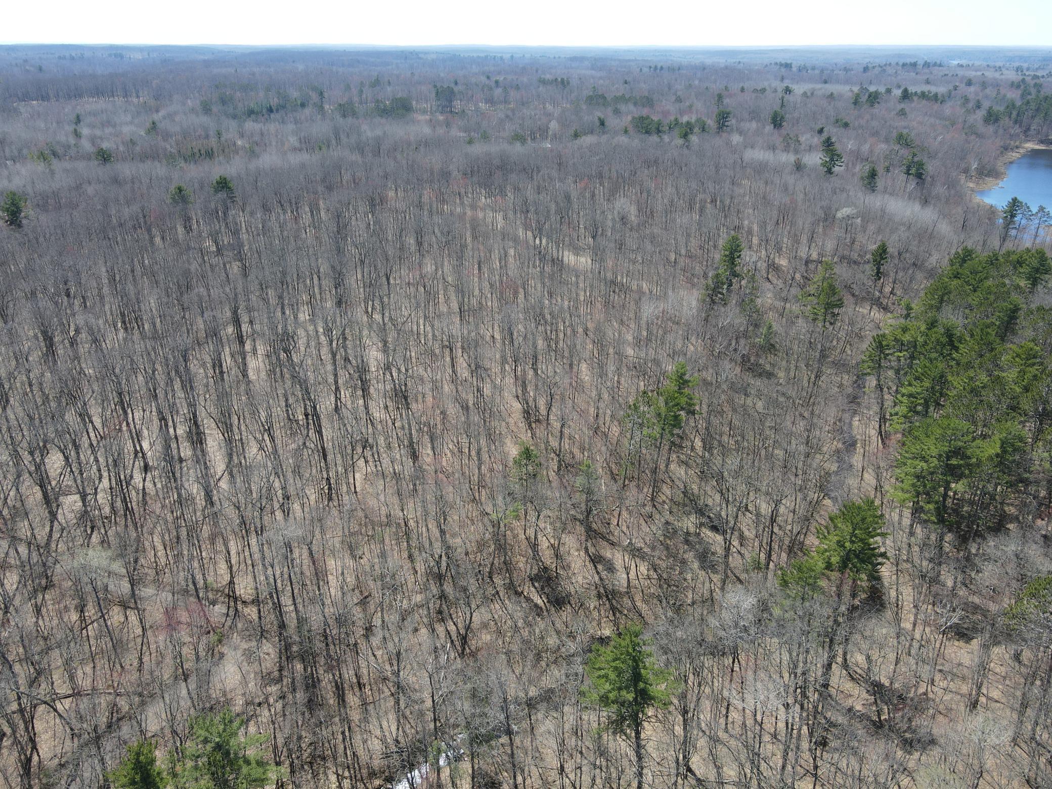 Tbd Red Oak Lane Stone Lake WI 54876