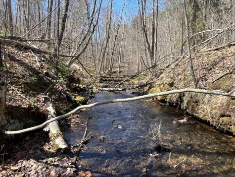 Tbd Red Oak Lane Stone Lake WI 54876