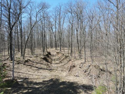 Tbd Red Oak Lane Stone Lake WI 54876