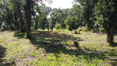 Lot 5 Oak Point Road Erdahl Twp MN 56531