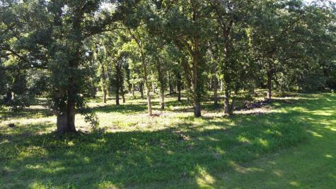 Lot 5 Oak Point Road Erdahl Twp MN 56531