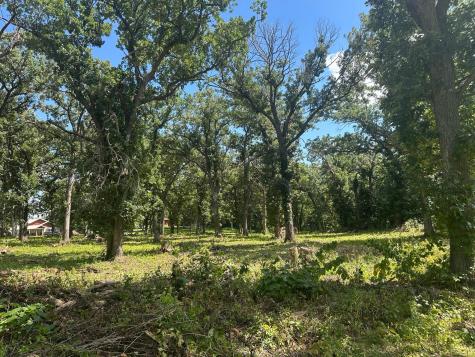 Lot 5 Oak Point Road Erdahl Twp MN 56531