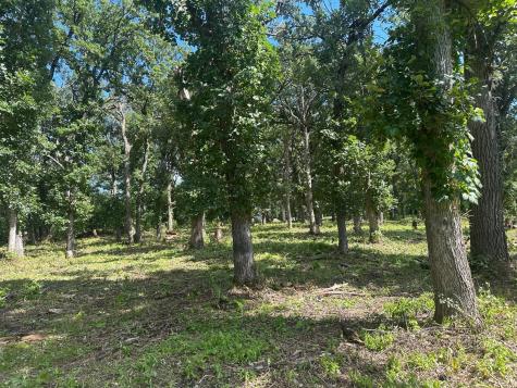 Lot 5 Oak Point Road Erdahl Twp MN 56531