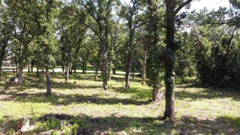 Lot 5 Oak Point Road Erdahl Twp MN 56531