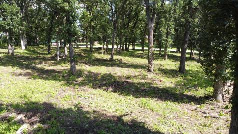 Lot 5 Oak Point Road Erdahl Twp MN 56531
