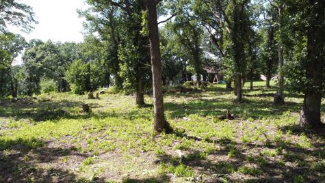 Lot 5 Oak Point Road Erdahl Twp MN 56531