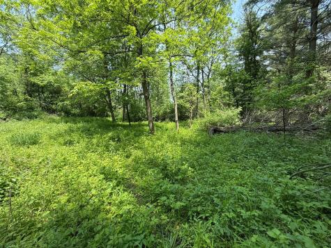 Tbd County 13 Road Houston MN 55943