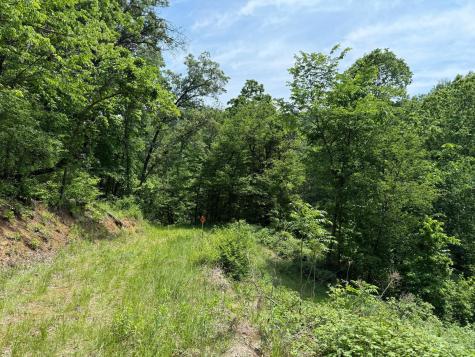 Tbd County 13 Road Houston MN 55943