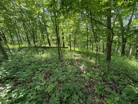 Tbd County 13 Road Houston MN 55943