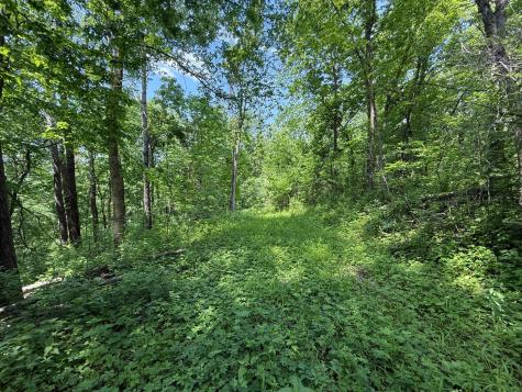 Tbd County 13 Road Houston MN 55943