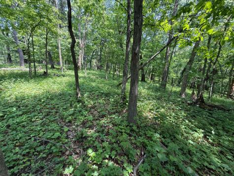 Tbd County 13 Road Houston MN 55943