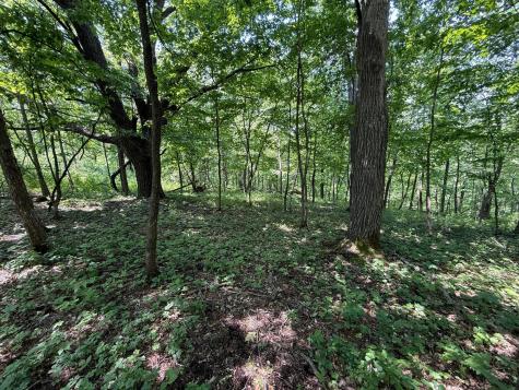 Tbd County 13 Road Houston MN 55943