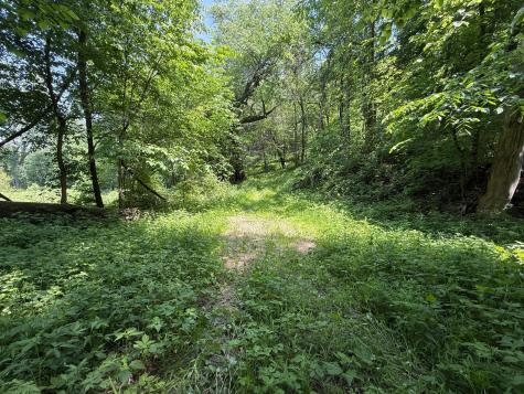 Tbd County 13 Road Houston MN 55943
