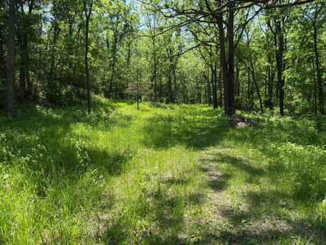 Tbd County 13 Road Houston MN 55943