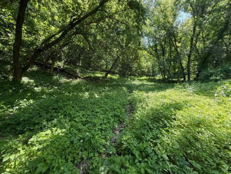 Tbd County 13 Road Houston MN 55943