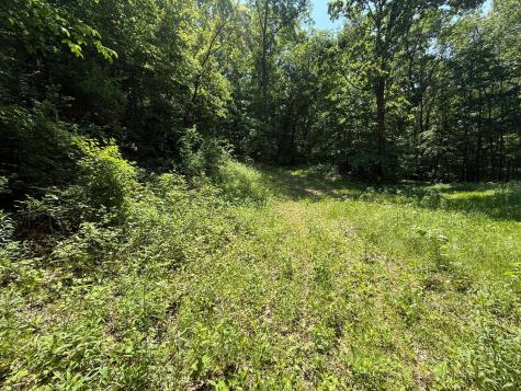 Tbd County 13 Road Houston MN 55943