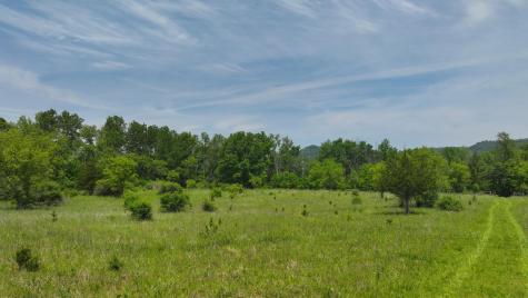Tbd County 13 Road Houston MN 55943