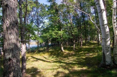 Tbd Deacons Way Pequot Lakes MN 56472