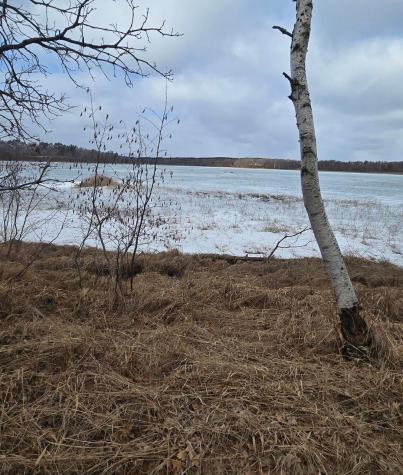 Tbd Deacons Way Pequot Lakes MN 56472