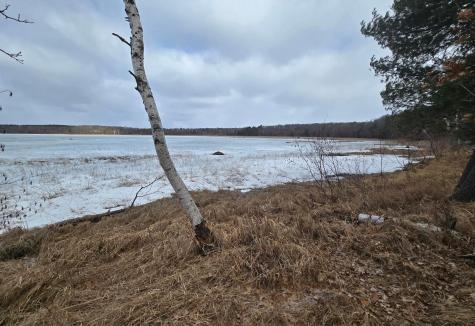 Tbd Deacons Way Pequot Lakes MN 56472