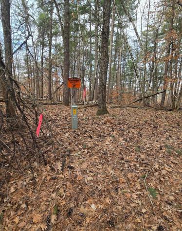Tbd Deacons Way Pequot Lakes MN 56472