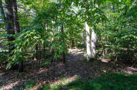 Tbd Deacons Way Pequot Lakes MN 56472