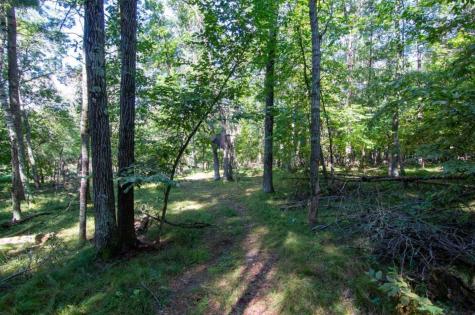 Tbd Deacons Way Pequot Lakes MN 56472