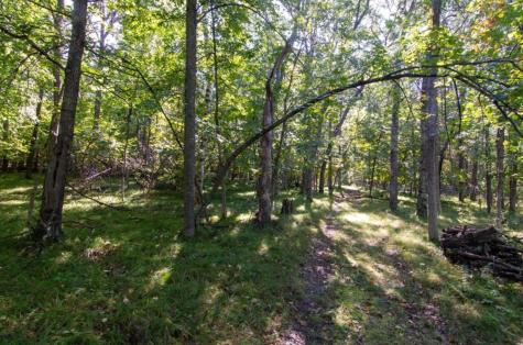 Tbd Deacons Way Pequot Lakes MN 56472