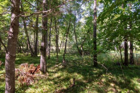 Tbd Deacons Way Pequot Lakes MN 56472
