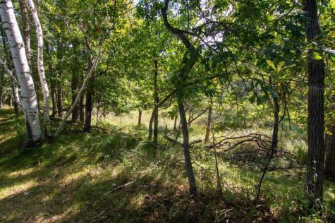 Tbd Deacons Way Pequot Lakes MN 56472