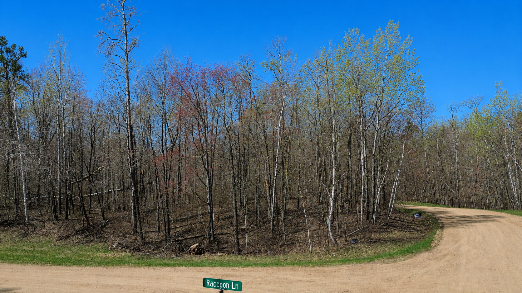Tbd Flower Trail Breezy Point MN 56472