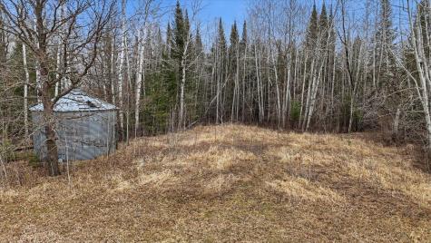 4650 County Road 22 Littlefork MN 56653