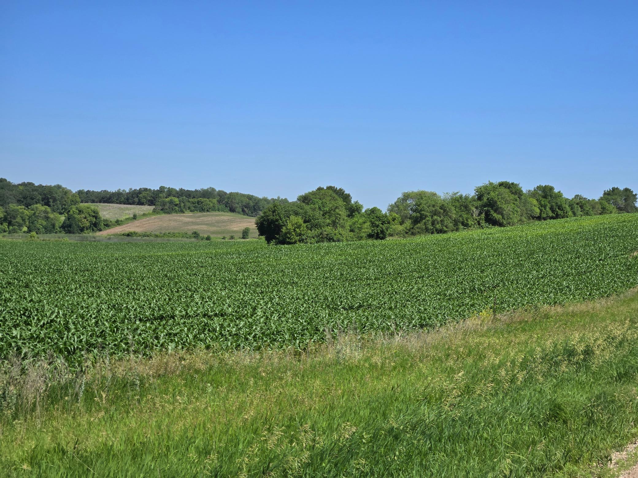 Tbd County Highway 83 Battle Lake MN 56515