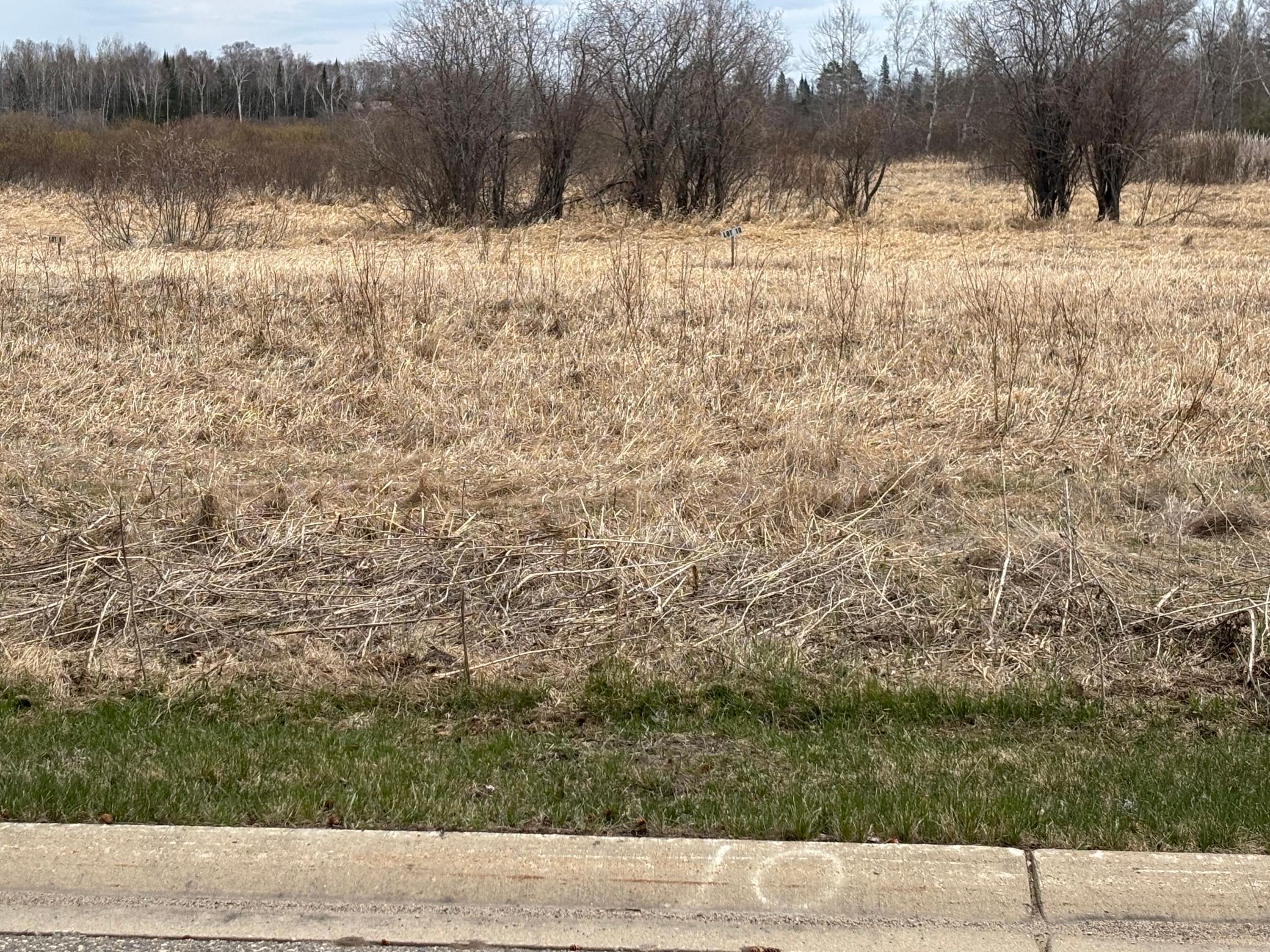 Lot 10 Irvine Avenue NW Bemidji MN 56601